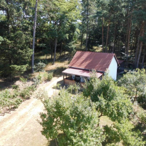  Wald&Wiesengeflüster Zechlinerhütte  Райнсберг